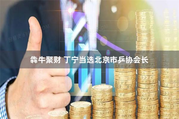 犇牛聚财 丁宁当选北京市乒协会长