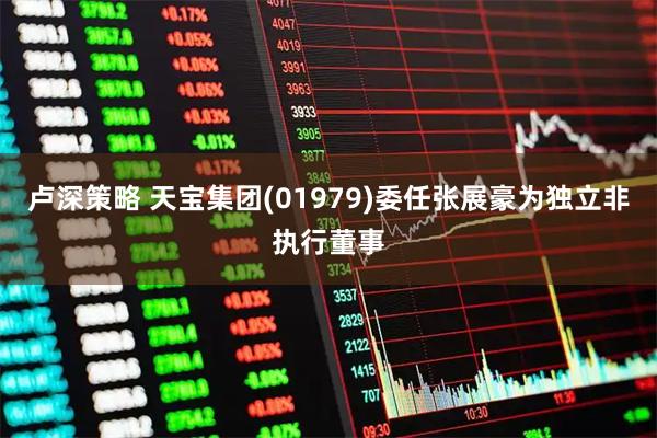 卢深策略 天宝集团(01979)委任张展豪为独立非执行董事